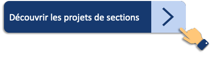 projets-de-sections.png